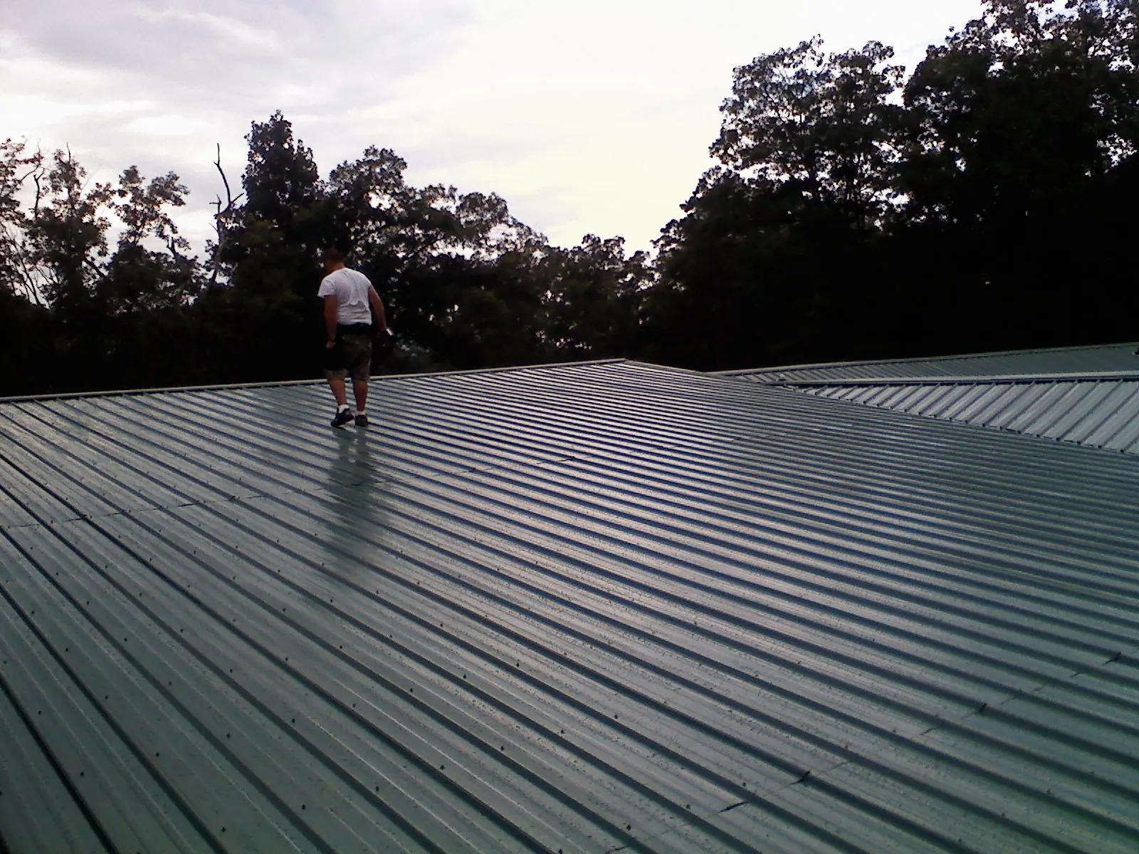 Roofer walking a wide expanse of new green metal roofing in Coin